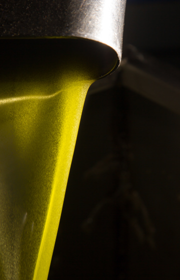 Olive Oil processing